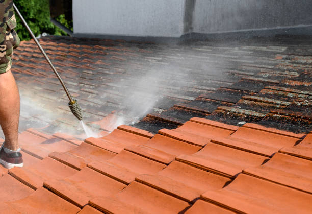 Best Local Pressure Washing Services  in Rosharon, TX