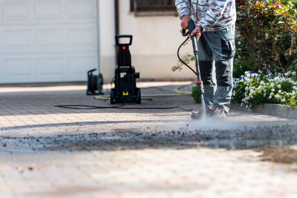 Best Roof Pressure Washing  in Rosharon, TX