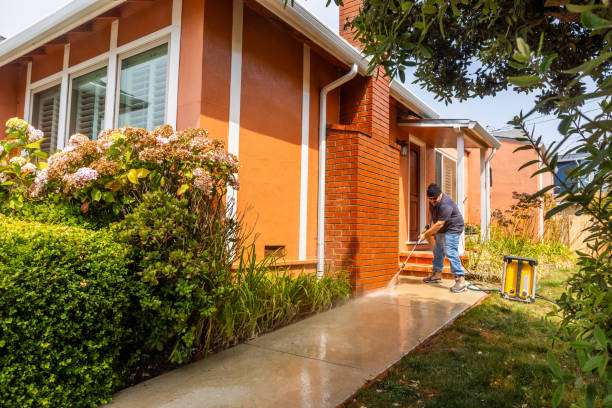 Best Concrete Pressure Washing  in Rosharon, TX