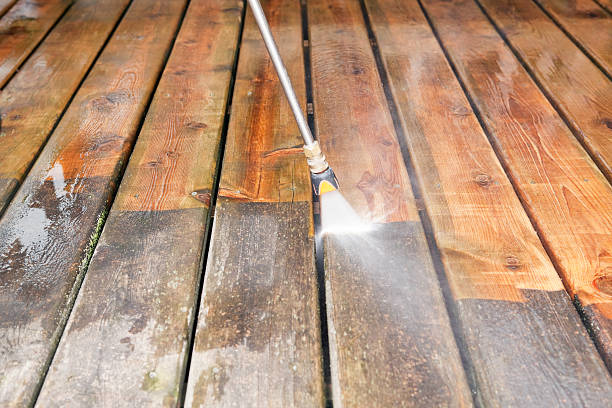 Best Roof Power Washing Services  in Rosharon, TX