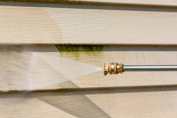 Best Commercial Building Pressure Washing  in Rosharon, TX