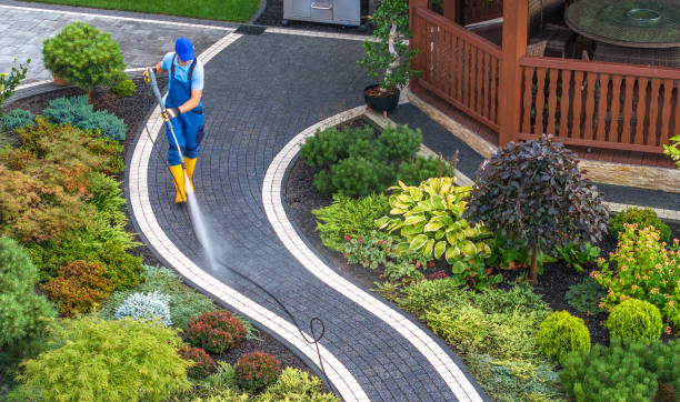 Best Local Pressure Washing Services  in Rosharon, TX