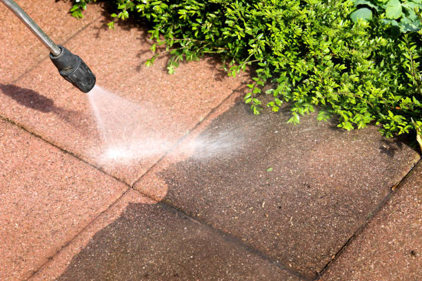 Best House Pressure Washing  in Rosharon, TX